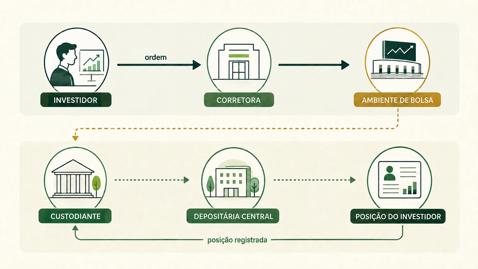 Ordem de compra passa por corretora e bolsa, enquanto custodiante e depositária mantêm e conciliam a posição do investidor.